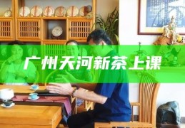 广州天河新茶上课，探索广州天河新茶文化体验课