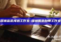 深圳品茶海选工作室，解锁都市茶文化新体验