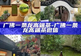 广佛茶艺新风尚，探索广佛一条龙高端茶的微信魅力