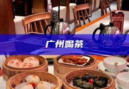 广州喝茶，品味广州，探寻城市中的茶文化之旅