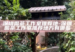 深圳茶艺新体验，高质量茶馆推荐
