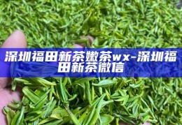 深圳老牌品茶场子，传统与现代交融的品茶文化体验