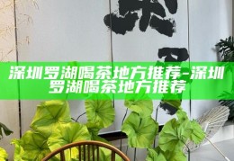 深圳高端茶艺体验，品味城市中的静谧与雅致