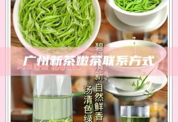 深圳最便宜的喝茶场子，深圳性价比之选，探秘城市中的超值茶饮小店