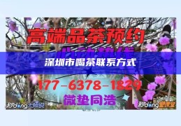 深圳品茶胜地，海选优质茶馆指南