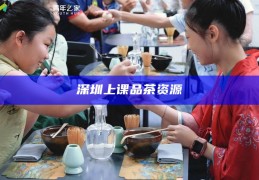深圳上课品茶资源，深圳课堂品茶，探索文化与品味的完美结合