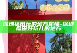 深圳品茗雅趣，精选喝茶工作室推荐指南