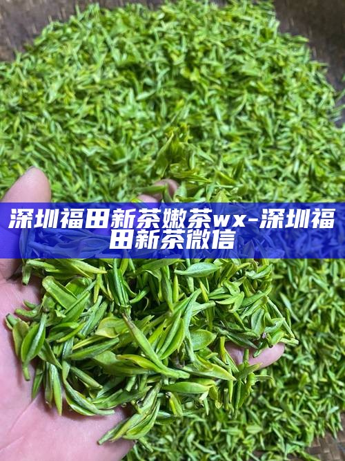深圳福田新茶嫩茶wx-深圳福田新茶微信