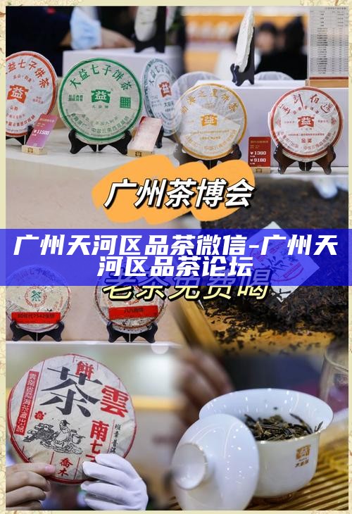 广州天河区品茶微信-广州天河区品茶论坛