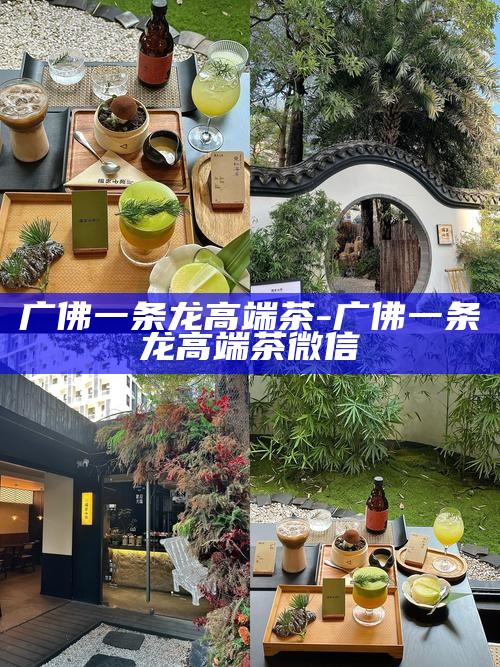 广佛一条龙高端茶-广佛一条龙高端茶微信