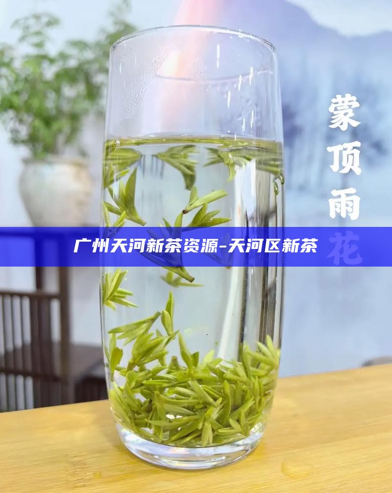 广州天河新茶资源-天河区新茶